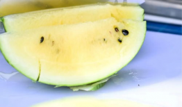 香港吃瓜爆料是真的吗,真相还是谣言？